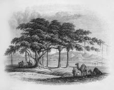 Runjeet Singh's Encampment at Roopur 1845. Creator: Unknown