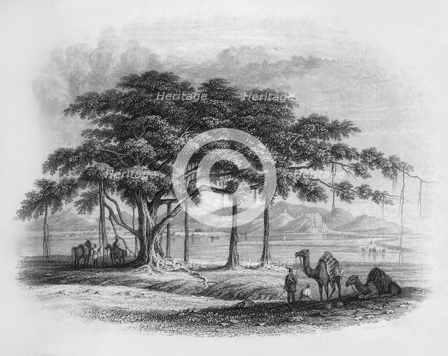 'Runjeet Singh's Encampment at Roopur', 1845. Creator: Unknown.