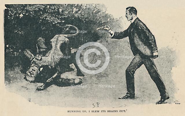 'Running Up. I Blew Its Brains Out', 1892. Artist: Sidney E Paget.