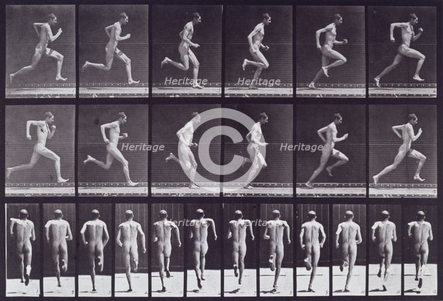 Running at full speed, 1872-1885.  Creator: Eadweard J Muybridge.