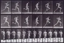 Running at full speed, 1872-1885. Creator: Eadweard J Muybridge