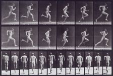 Running at full speed, 1872-1885. Creator: Eadweard J Muybridge
