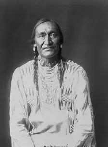 Running Owl, c1910. Creator: Edward Sheriff Curtis