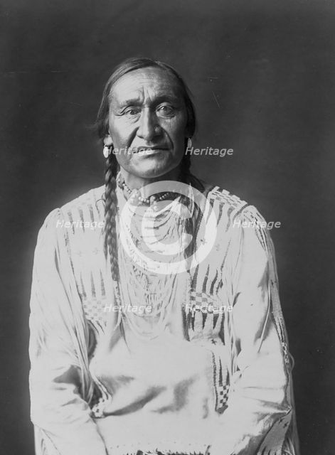Running Owl, c1910. Creator: Edward Sheriff Curtis.
