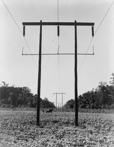Rural electrification in Pulaski County, Arkansas, 1938. Creator: Dorothea Lange