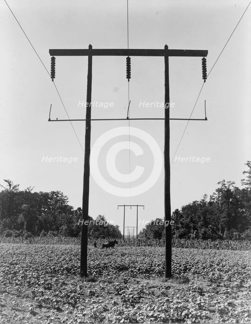 Rural electrification in Pulaski County, Arkansas, 1938. Creator: Dorothea Lange.