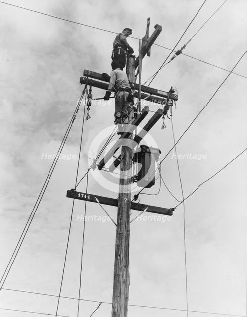 Rural electrification, San Joaquin Valley, California, 1938. Creator: Dorothea Lange.