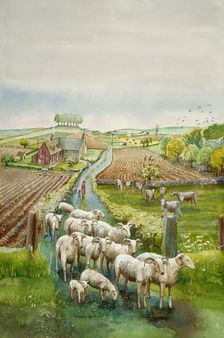 Rural landscape, c2010. Artist: Judith Dobie