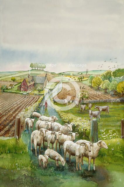 Rural landscape, c2010. Artist: Judith Dobie.