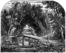 Rural life in western Canada, 19th century