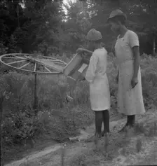 Rural mailbox, thirty-nine miles from Valdosta, Georgia, 1937. Creator: Dorothea Lange