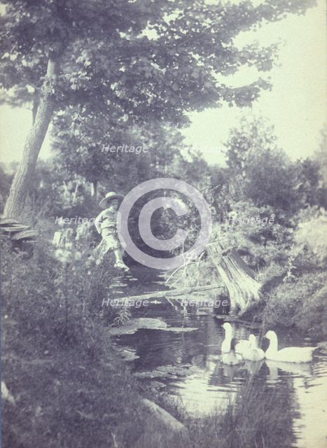 Rural scene with a young boy sitting on a tree stump watching ducks in the stream below, c1900. Creator: Emma Justine Farnsworth.