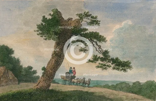 'Rural Subject', 1804. Creator: C Taylor.
