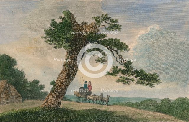 'Rural Subject', 1804. Creator: C Taylor.