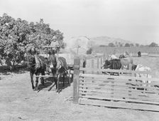 Rural rehabilitation client, Tulare County, California, 1938. Creator: Dorothea Lange