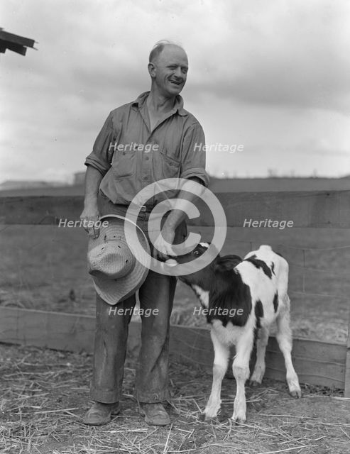 Rural Rehabilitation Administration client, Hayward, California, 1936. Creator: Dorothea Lange.