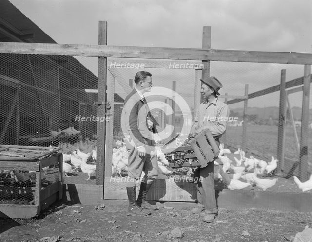 Rural Rehabilitation Administration client with the Rehabilitation Administration..., CA, 1936. Creator: Dorothea Lange.