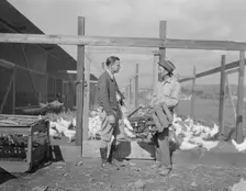 Rural Rehabilitation Administration client with the Rehabilitation Administration..., CA, 1936. Creator: Dorothea Lange