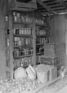Rural rehabilitation, Tulare County, California, 1938. Creator: Dorothea Lange