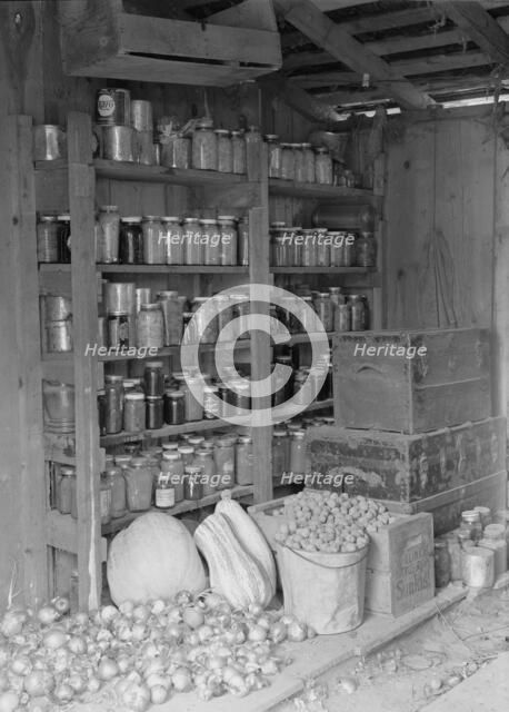 Rural rehabilitation, Tulare County, California, 1938. Creator: Dorothea Lange.