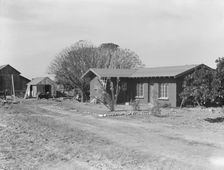 Rural rehabilitation, Tulare County, California, 1938. Creator: Dorothea Lange