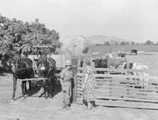 Rural rehabilitation, Tulare County, California, 1938. Creator: Dorothea Lange