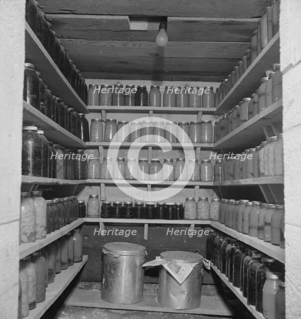 Rural rehabilitation under farm plan of the FSA supervisor, Tulare County, California, 1938. Creator: Dorothea Lange.