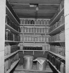 Rural rehabilitation under farm plan of the FSA supervisor, Tulare County, California, 1938. Creator: Dorothea Lange