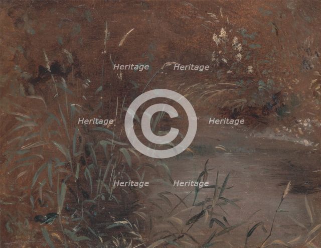 Rushes by a pool, ca. 1821. Creator: John Constable.