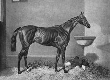 Russborough 19th century, (1911)