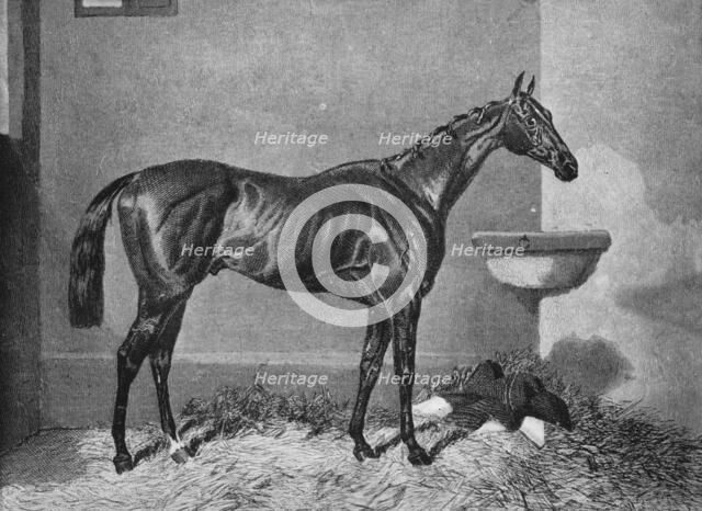 'Russborough', 19th century, (1911). Artist: Unknown.