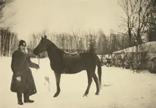 Russian author Leo Tolstoy with a horse, Yasnaya Polyana, near Tula, Russia, 1905. Artist: Sophia Tolstaya