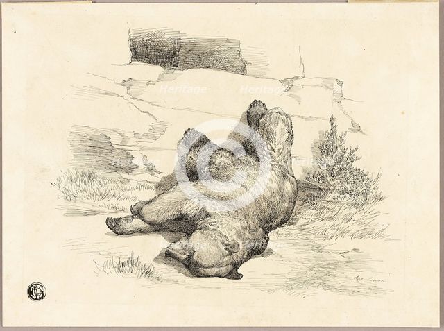 Russian Bear, n.d. Creator: Auguste-Andre Lancon.