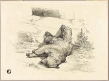 Russian Bear, n.d. Creator: Auguste-Andre Lancon