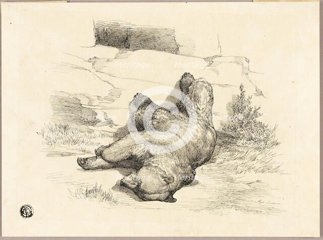 Russian Bear, n.d. Creator: Auguste-Andre Lancon.