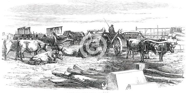 Russian Bullock Carts, 1850. Creator: Unknown.