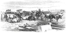 Russian Bullock Carts, 1850. Creator: Unknown