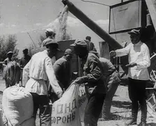 Russian Civilians Gathering Grain, 1941. Creator: British Pathe Ltd