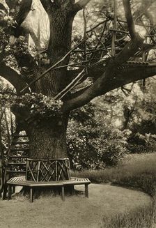 Rustic Treatment. - Summer House in a Tree, an ideal Tea House 1920. Creator: Unknown