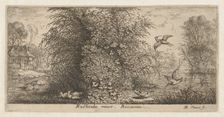 Rusticula minor, Beccassine (The Snipe): Livre d'Oyseaux (Book of Birds), 1655-1660., Creator: albert flamen