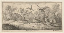 Rusticula, Beccasse (The Woodcock): Livre d'Oyseaux (Book of Birds), 1655-1660. Creator: albert flamen