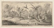 Rusticula, Beccasse (The Woodcock): Livre d'Oyseaux (Book of Birds), 1655-1660. Creator: albert flamen