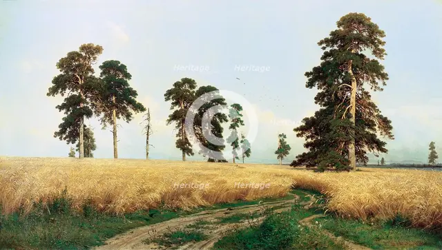 'Rye Field', 1878.  Artist: Ivan Shishkin