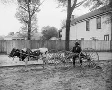 S.C. huckster, South Carolina, between 1900 and 1910. Creator: Unknown