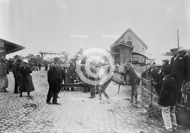 Wounded from battle of Vie [i.e., Vic] at Compiegne, 26 Oct 1914. Creator: Bain News Service.