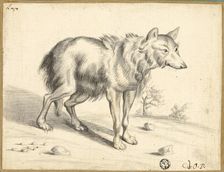Wolf, 1655. Creator: Jan van Os