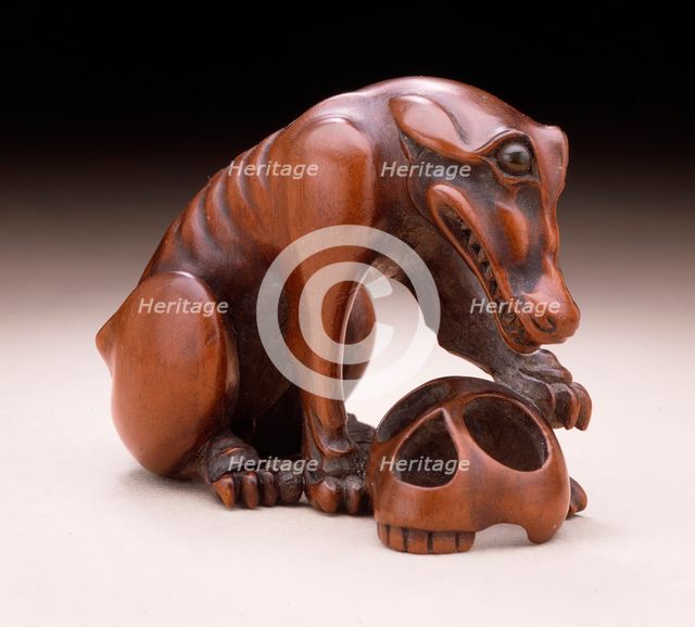 Wolf and Skull, 19th century. Creator: Unknown.