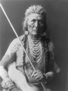 Wolf-Apsaroke, c1908. Creator: Edward Sheriff Curtis