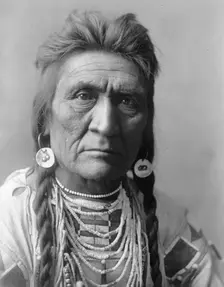 Wolf, c1908. Creator: Edward Sheriff Curtis