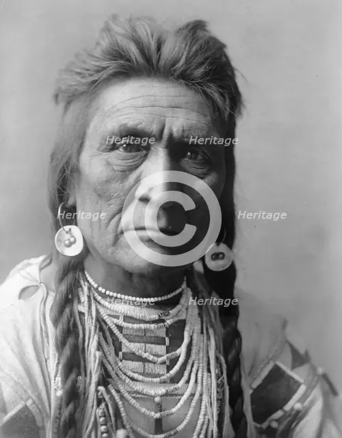 Wolf, c1908. Creator: Edward Sheriff Curtis.